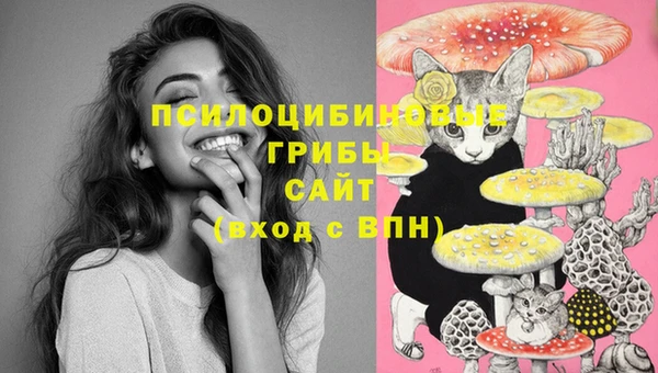 кокс Арсеньев