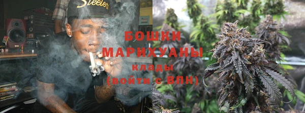 кокс Арсеньев