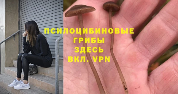 кокс Арсеньев