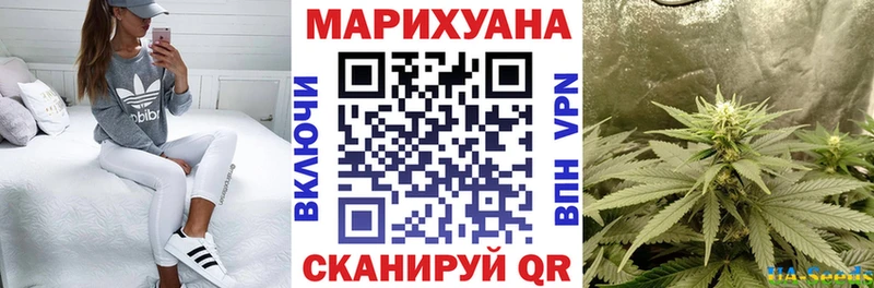 Канабис план  Купить закладки  Каменногорск 